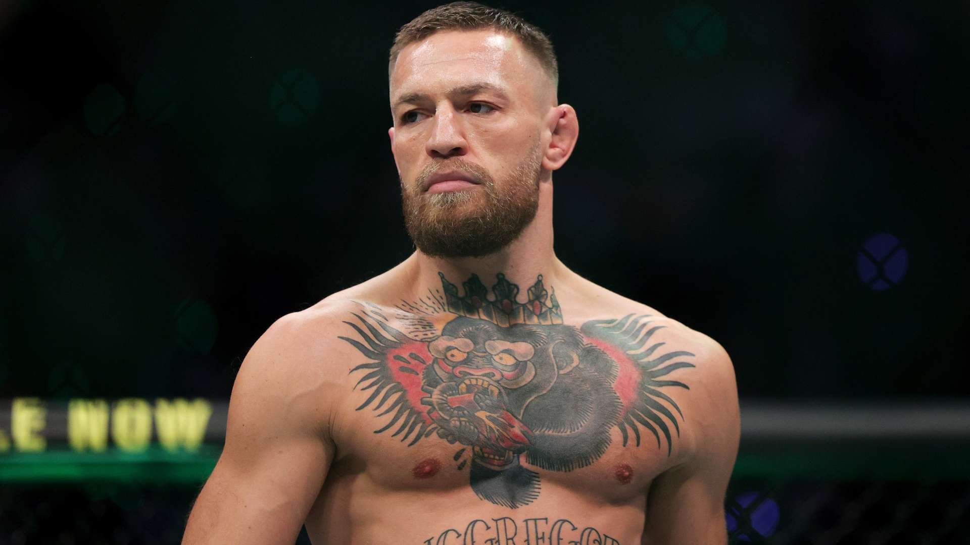 可以更好地 可以更好地