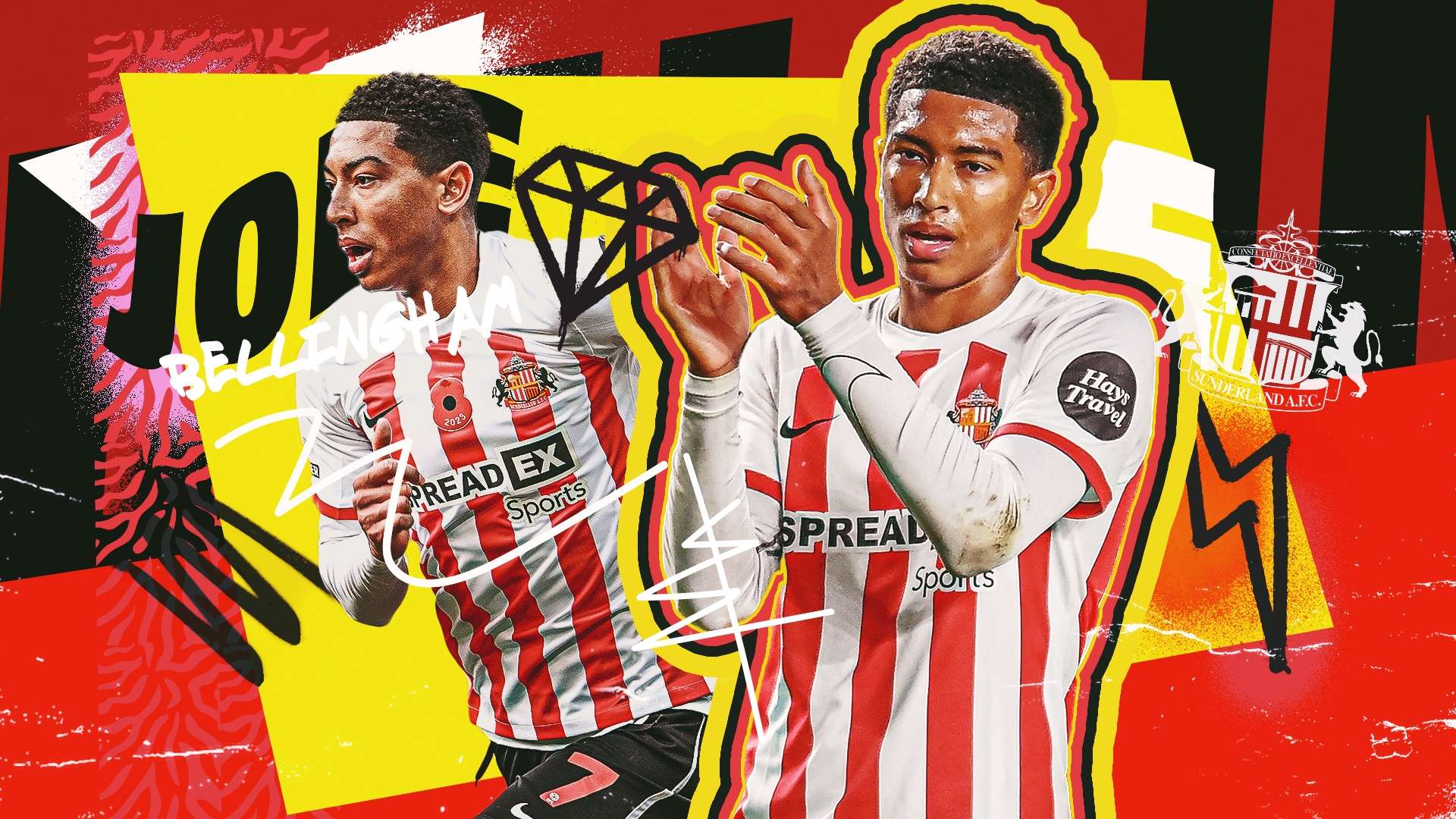 不仅仅是一 不仅仅是一